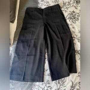 NWOT Express Gaucho pants